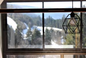 a window with a view of a snow covered mountain at Studio sous les pistes avec vue sur la vallée in La Bresse
