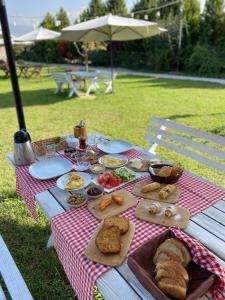 伊茲密爾的住宿－La Casa Verde Bungalows，一张野餐桌,上面有食物,放在红白毯子上