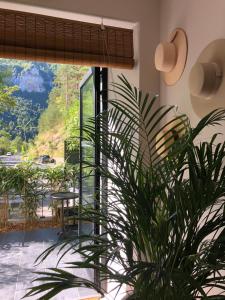 a plant in a room with a large window at Le Sahuc in Rivière-sur-Tarn