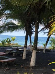 a beach with palm trees and a picnic table and the ocean at Papaya Wildlife Lodge in Cahuita