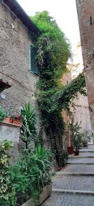 a building with ivy growing on the side of it at La Giada in Tivoli