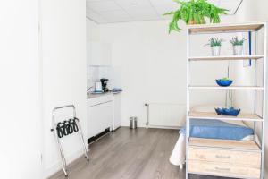 Dapur atau dapur kecil di Hotel Lemmer