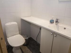 ein Badezimmer mit Toilette und Waschbecken in der Unterkunft Holiday Home Rukatonttu d 12 by Interhome in Ruka + 12 Fotos