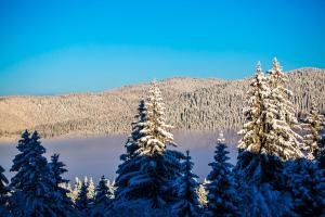 Gallery image of Sunny Hills Ski&Wellness in Pamporovo +58 photos