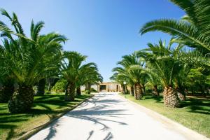 una carretera bordeada de palmeras frente a una casa en Borgo Pida en Trapani