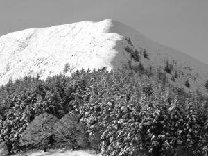a snow covered mountain with trees in front of it at The Old School House Bed and Breakfast in Llanbrynmair