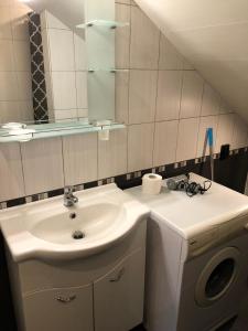 Pavlovi Apartments tesisinde bir banyo