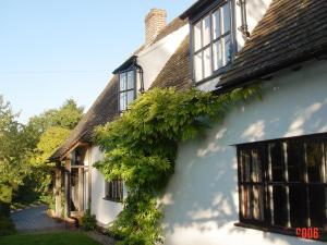 a white house with ivy growing on the side of it at Chequer Cottage in Horseheath