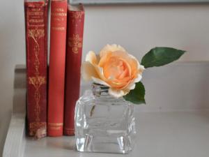 a vase with a rose in front of books at Chequer Cottage in Horseheath