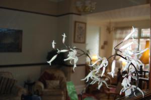 Fotografie z fotogalerie ubytování The Hollingworth v destinaci Lytham St Annes