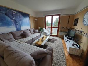 a living room with a large couch and a tv at Apartman Lari in Vlasic