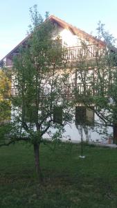 a building with a tree in front of it at Planinska kuća Rezo Rakitno in Posušje