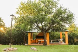 una pequeña cabaña con un árbol en un campo en Posada Altos Del Consuelo en Nono