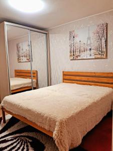 クロプィウヌィーツィクィイにあるШевченко 2のベッドルーム(大型ベッド1台、鏡付)