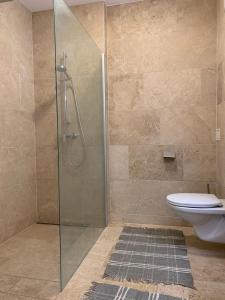 A bathroom at Appartement Klein Tirol