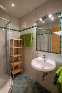 uma casa de banho com um lavatório e um chuveiro em Apart Conny em Längenfeld
