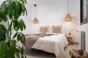 a bedroom with a bed and a potted plant at Ca na Cati (Barcarés) in Alcudia +34 photos