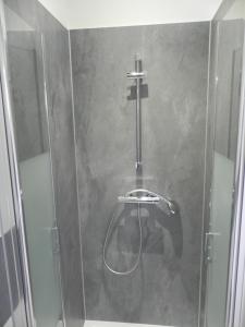 een douche met een glazen deur in de badkamer bij Appartement Lily-rose in Cerizay