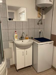 a small bathroom with a sink and a mirror at Piebalgas street apartment in Cesis in Cēsis +21 photos