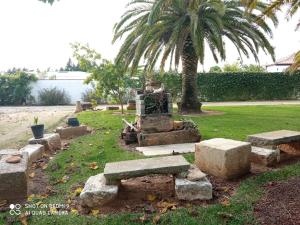 un parque con bancos de piedra y una palmera en El Olivar de Roche Viejo, en Conil de la Frontera