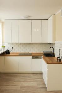 Dapur atau dapur kecil di Apartament Studio Klasztorna