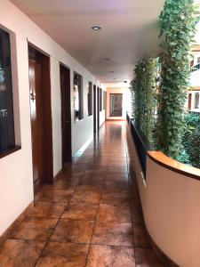 a hallway in a building with plants on the walls at Hotel Boulevard in Lima