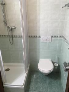 Kúpeľňa v ubytovaní Vila Bellevue