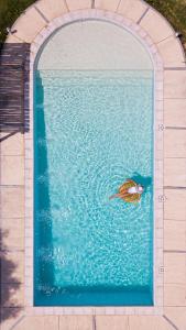 una pintura de un pájaro en una piscina en Cabañas y Habitaciones Terra Nostra Complejo en General Alvear
