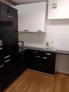 Kuchnia lub aneks kuchenny w obiekcie Ferienwohnung Woody
