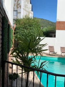 a plant on a balcony next to a swimming pool at Ganesha in Villa Carlos Paz