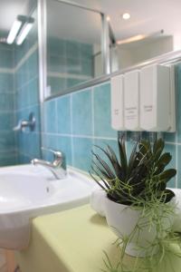 a bathroom with a sink and a potted plant on a counter at At The Sound Noosa in Noosaville +39 photos