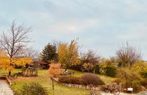 Jardín al aire libre en Cottage Gols