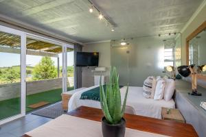 Gallery image of Wildlife Retreat on a Wine-Farm in Stellenbosch