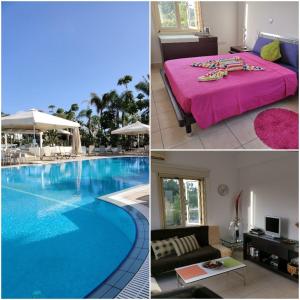 una camera d'albergo con una grande piscina e una camera da letto di Garden Luxury Apartment Ayia Napa a Ayia Napa