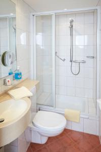 uma casa de banho com um chuveiro, um WC e um lavatório. em Hotel-Restaurant Maas em Lutzerath