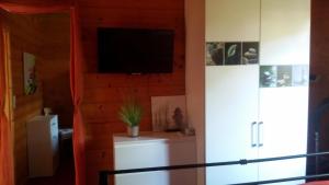 uma sala de estar com uma televisão de ecrã plano na parede em Reuken - Fewo Zum Emslotsen em Emden