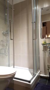 ein Bad mit einer Dusche und einem WC in der Unterkunft Studio Rue Lacépède in Paris