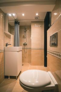 W łazience znajduje się toaleta, umywalka i prysznic. w obiekcie Villa Villekulla w mieście Chukovezer