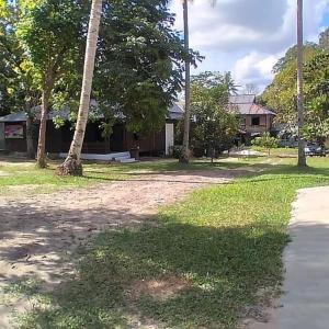 een tuin met palmbomen en een huis op de achtergrond bij Mimi Guest House Syariah Pangkalan bun in Pangkalan Bun