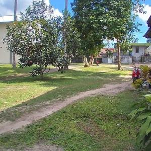 Zahrada ubytování Mimi Guest House Syariah Pangkalan bun + 14 fotografií