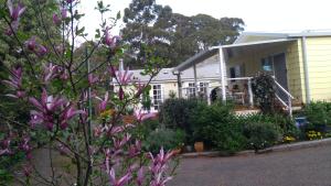 una casa con flores púrpuras delante de ella en The Best Exotic Magnolia Cottage, en Bundanoon