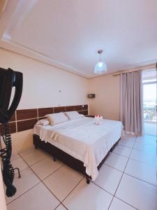 a bedroom with a bed and a tv in it at Hotel Borari in Alter do Chao