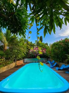 une piscine bleue dans une cour arborée dans l'établissement Hotel Borari, à Alter do Chão