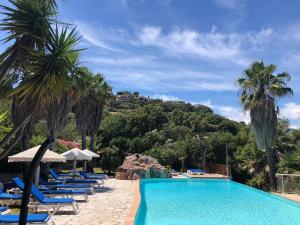 - une piscine dans un complexe avec des palmiers et des chaises longues dans l'établissement Residence Fium Del Cavo, à Sainte-Lucie de Porto-Vecchio