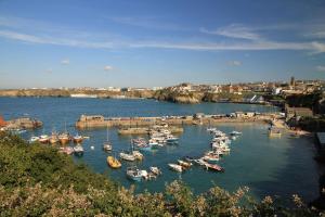 a bunch of boats are docked in a harbor at Wenden Guest House in Newquay