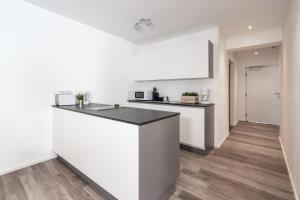 Kuchyňa alebo kuchynka v ubytovaní Kaiser Max Design Appartements
