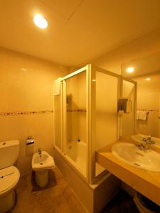 a bathroom with a shower and a toilet and a sink at Los Galanes in Granada