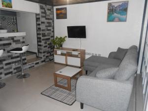 Μια τηλεόραση ή/και κέντρο ψυχαγωγίας στο Appartement les Saules à Cilaos
