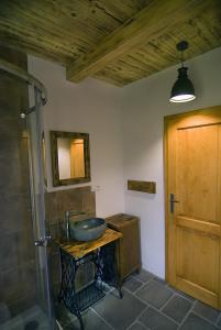 a bathroom with a sink and a glass shower at Horská chalupa Jeřabina in Horní Blatná
