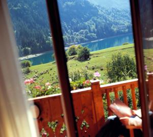 Gallery image of Hotel Du Lac in Molveno